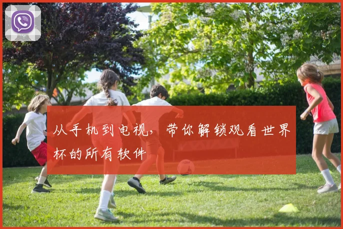 从手机到电视，带你解锁观看世界杯的所有软件