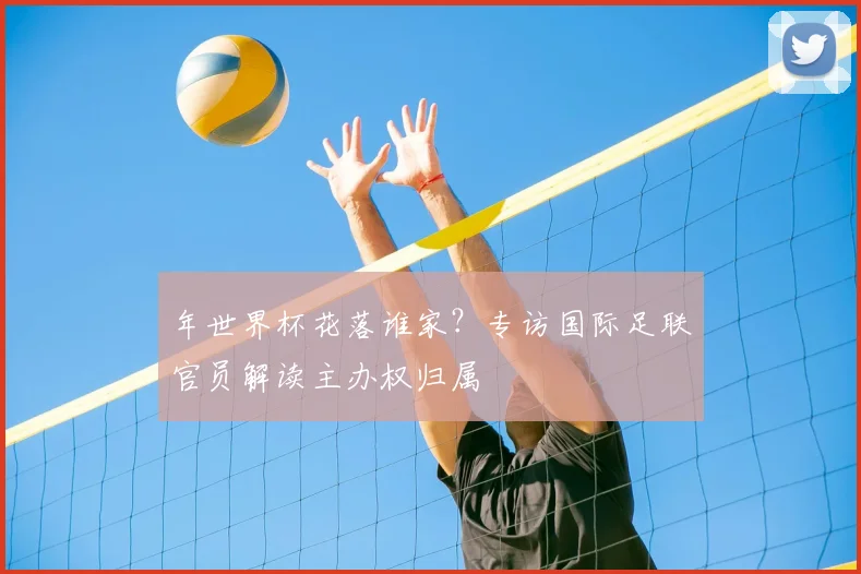 年世界杯花落谁家？专访国际足联官员解读主办权归属