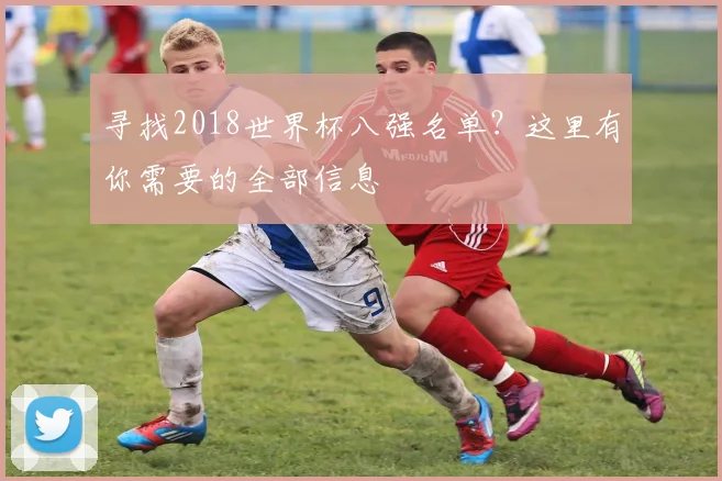 寻找2018世界杯八强名单？这里有你需要的全部信息