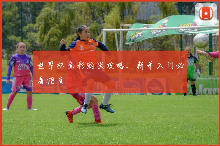 世界杯竞彩购买攻略：新手入门必看指南